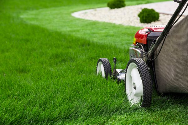 Mowing Service in Longview