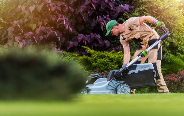 Yard Care Service in Longview