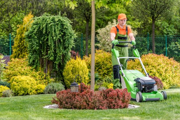 Yard Service in Longview