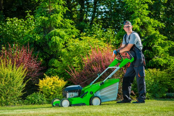 Yard Work Service in Longview