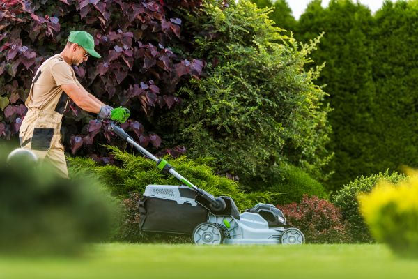 Lawn Management in Longview