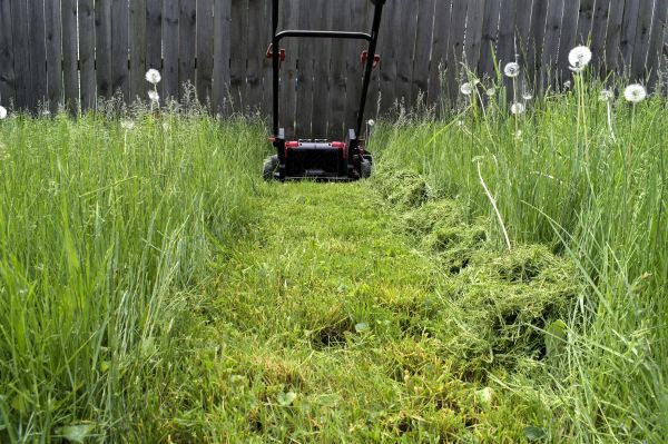 High Grass Mowing in Longview
