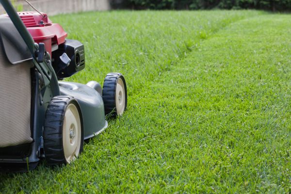 Summer Lawn Care in Longview
