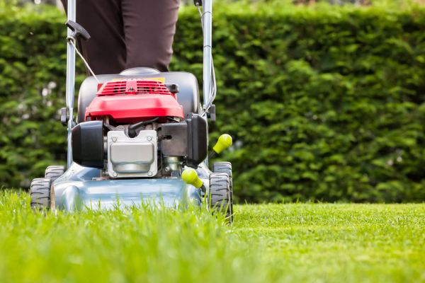 Grass Trimming Service in Longview
