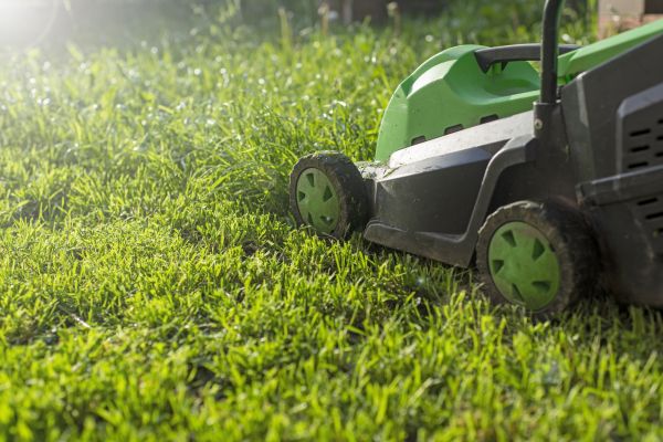 Lot Mowing in Longview