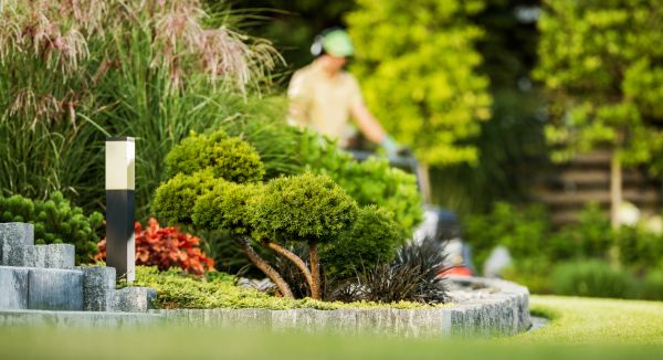 Residential Yard Maintenance in Longview