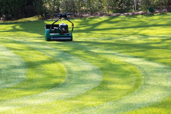 Business Lawn Mowing in Longview