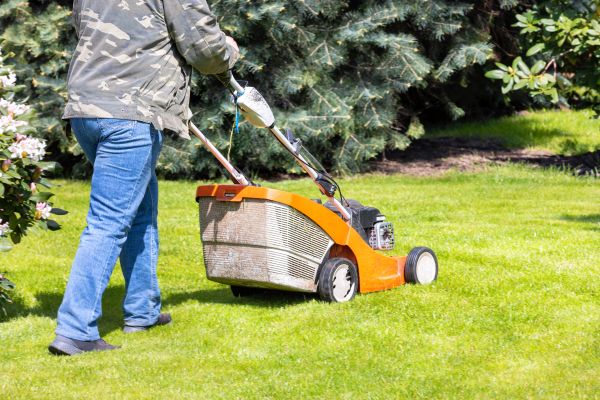 Springtime Lawn Care in Longview