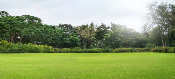 Golf Course Mowing in Longview