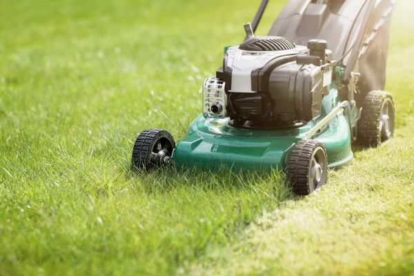 Cost of Spring Grass Trimming in Longview