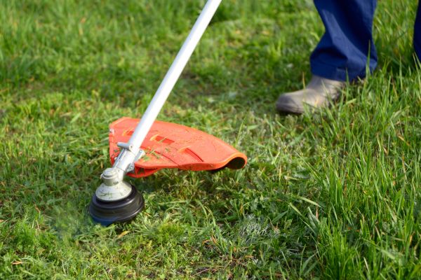 Cost of Lawn Weed Whacking in Longview