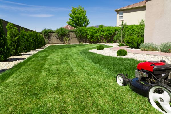 Residential Lawn Mowing in Longview